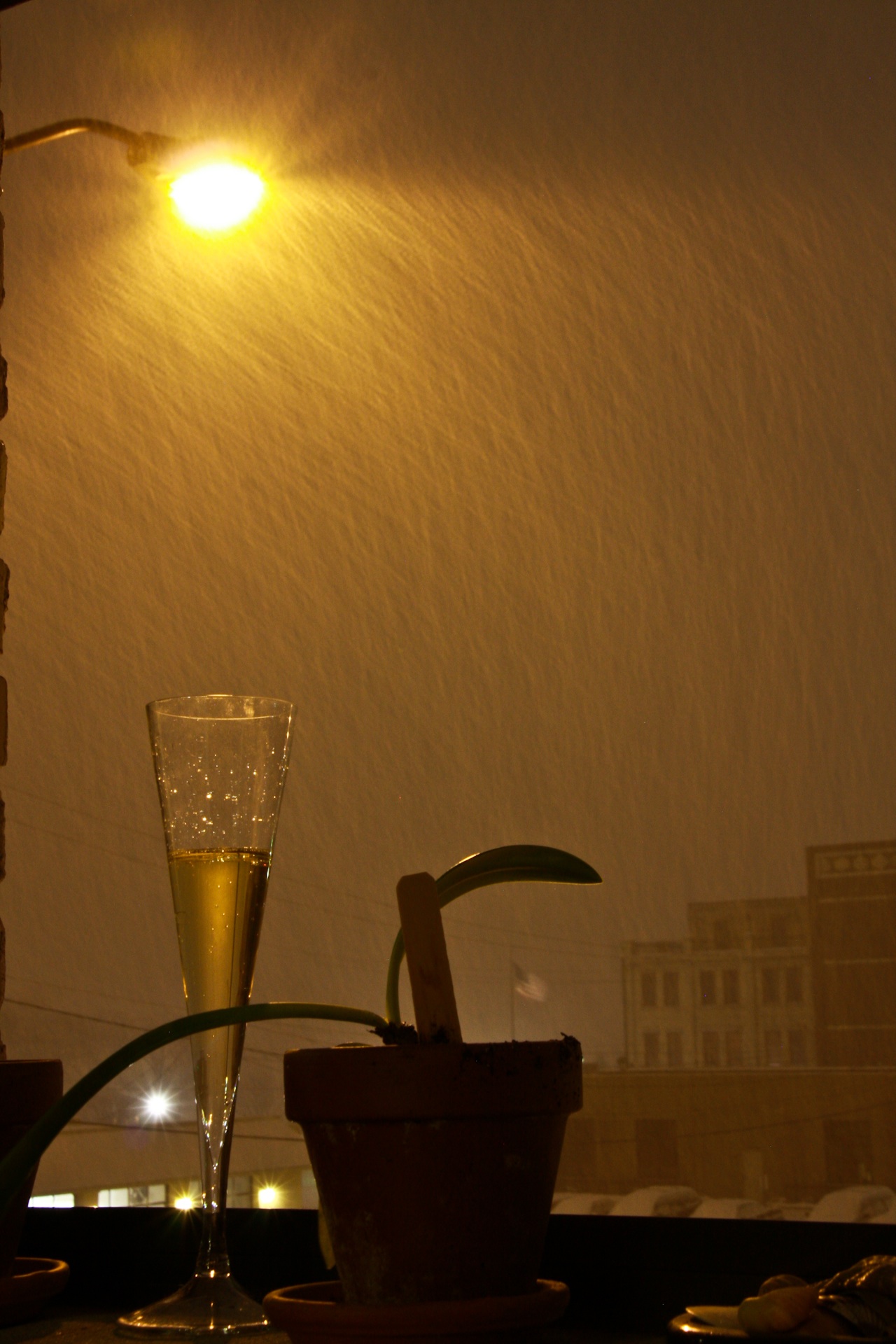 champagne_snow Happy New Year 2010 from Holland, MI. Photo by Ty Kennedy-Bowdoin.