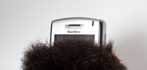 Blackberry Cases: Poof