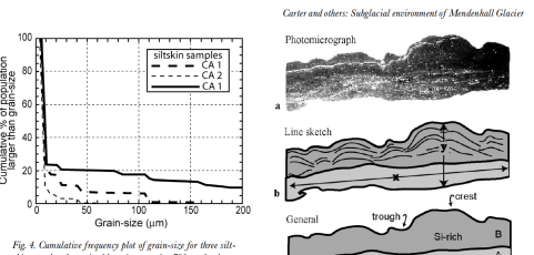 Subglacial environment inferred from bedrock-coating siltskins
