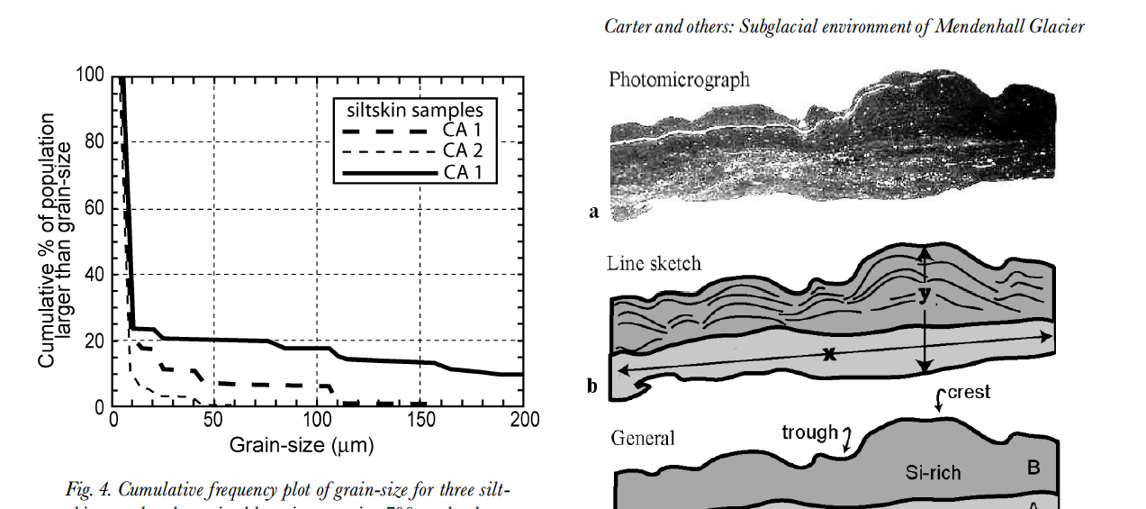 Subglacial environment inferred from bedrock-coating siltskins